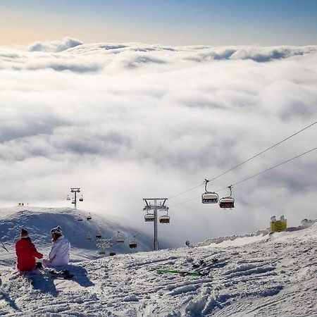 Mountain View Nest Daire Sinaia Dış mekan fotoğraf