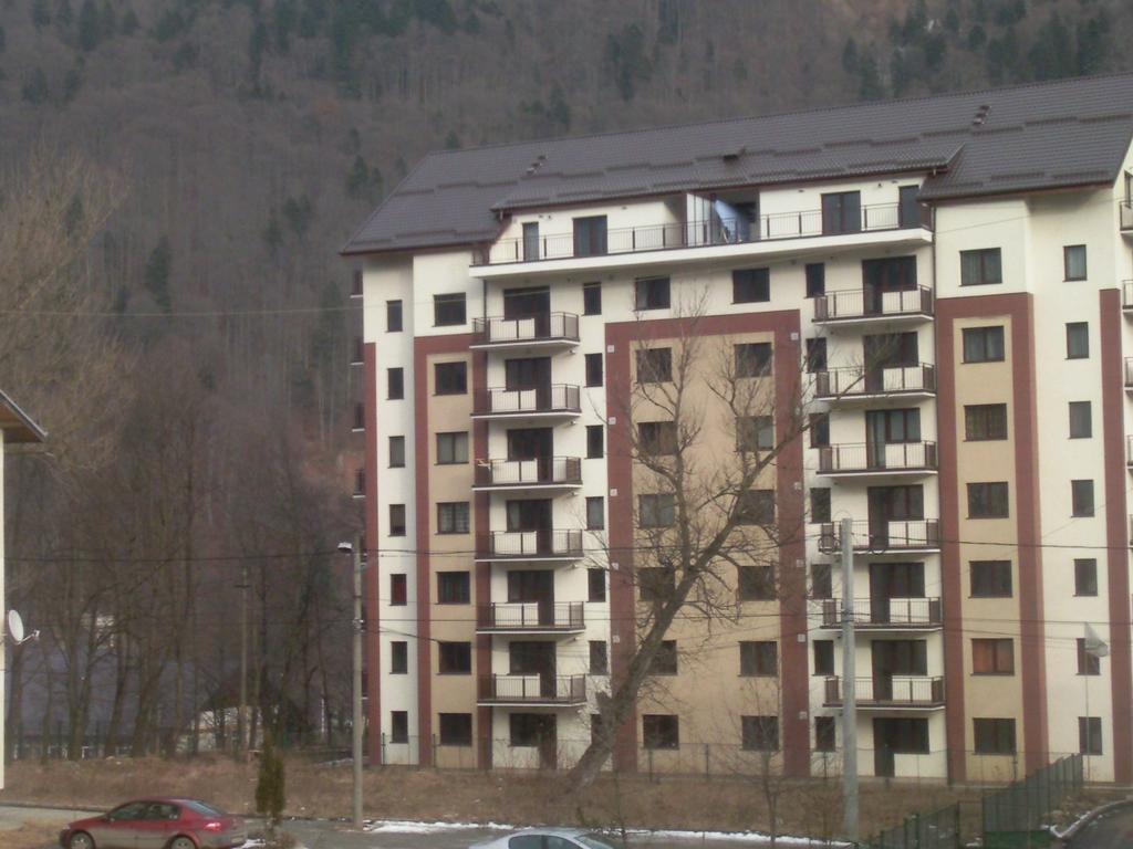 Mountain View Nest Daire Sinaia Dış mekan fotoğraf